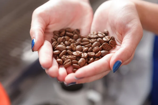 Close-up of person holding coffee beans — Stock Photo, Image