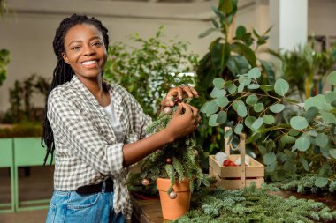 Dekorasyon süreci. Küçük Noel ağacını süsleyen ve ilgili görünen bir çiçekçi kadın.