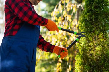 Dekoratif bitkilerin bakımında kullanılan budama araçlarında tanınmayan profesyonel