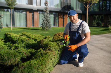 Modern şehir ortamında bitkilerle ilgilenen erkek bahçıvan.