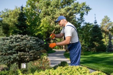 Bahçe bakımı yapan bir adam.