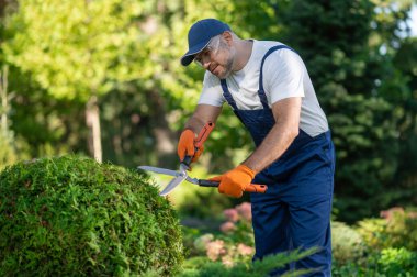 Erkek bahçıvan açık havada çalışıyor. Sağlıklı bahçeyi koruyor.