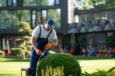 Modern mimari kompleksinin bahçesinde yeşillik budayarak yakışıklı bir işçi.