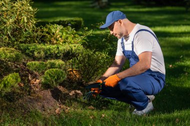 Bahçıvan bahçedeki peyzaj işleri sırasında toprağa yeni çiçekler ekiyor.