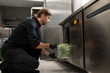 Erkek aşçı büyük bir konteynır marulu buzdolabına koyar.