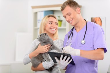 Pozitif veteriner bir kedi incelenmesi