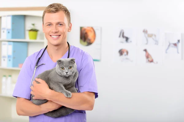 Dokter hewan positif memeriksa kucing — Stok Foto