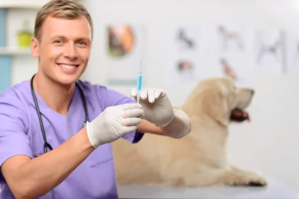 Veterinário profissional examinando um cão — Fotografia de Stock