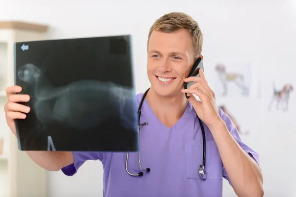 Veterinário profissional envolvido no trabalho — Fotografia de Stock