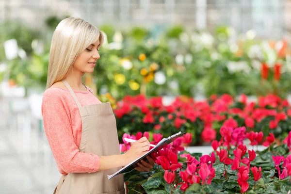 Agreeable florist holding folder — 图库照片