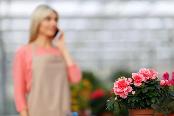 Netter Blumenhändler steht im Gewächshaus — Stockfoto
