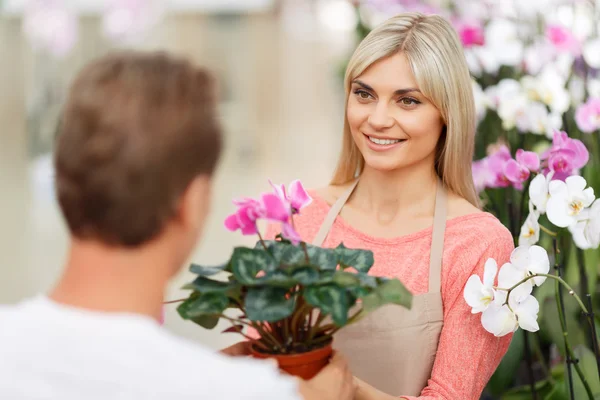 Profesyonel çiçekçi çiçek satış — Stok fotoğraf