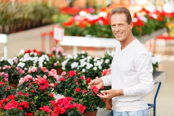 Positive customer choosing flowers — Stok fotoğraf