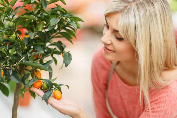 Professionele bloemist werken in kas — Stockfoto