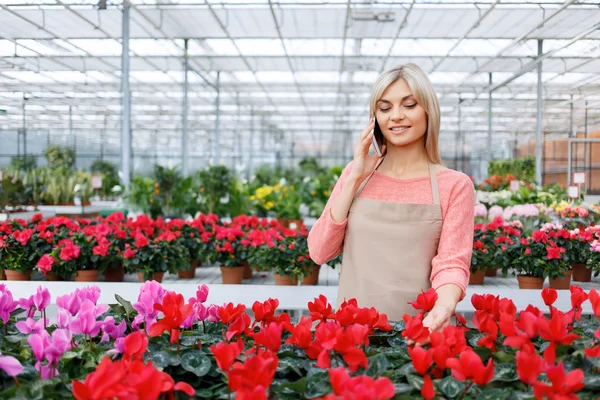 Nice florist working with flowers — Stock Photo, Image