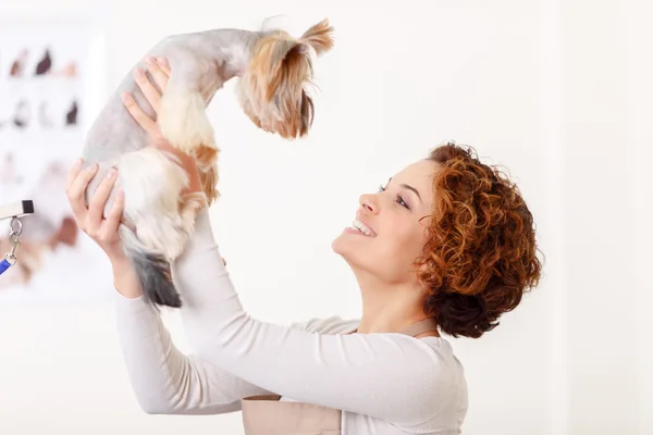 Nice-looking groomer is playing with Yorkshire terrier. — 스톡 사진