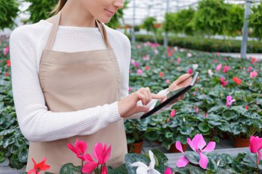 Serada çalışan olumlu çiçekçi