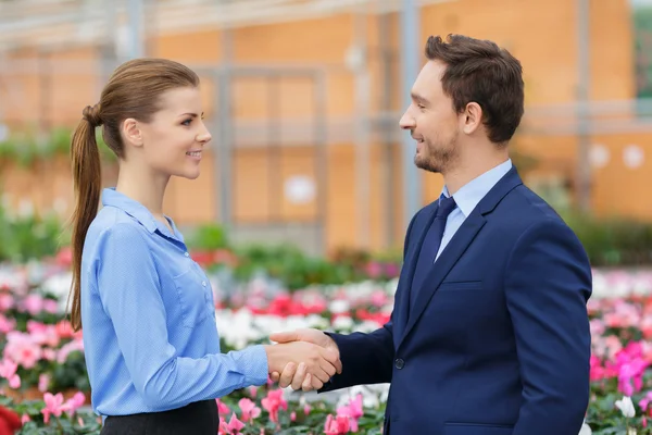 Businesspeople talking in the greenhouse — Stock Photo, Image