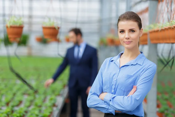 Greenhouse owners controlling business — Stock Photo, Image