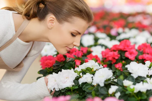 Очаровательный флорист, нюхающий цветы — стоковое фото