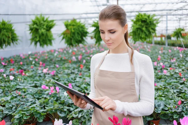 Positive florist working in the greenhouse — Stock Photo, Image