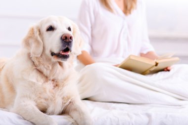 Bakım kadın köpeğiyle yatakta yatarken