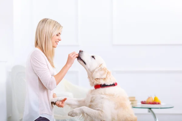 Agréable femme s'amuser avec un chien — Photo