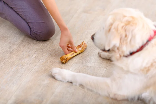 Aangename vrouw plezier met een hond — Stockfoto