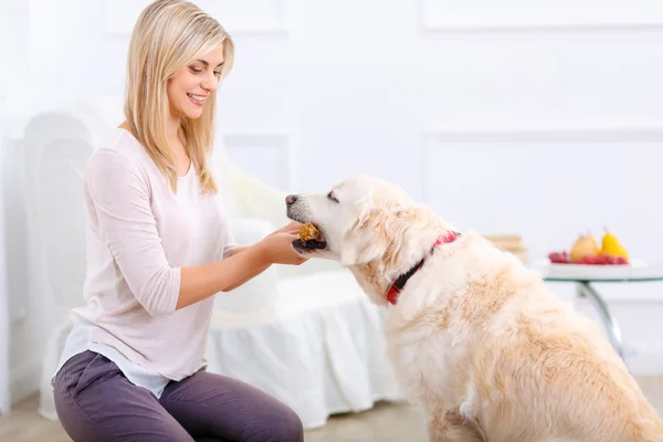 Aangename vrouw plezier met een hond — Stockfoto