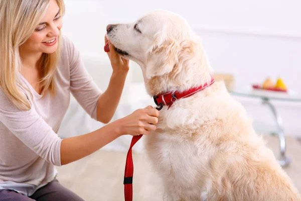 Pleasant woman having fun with a dog — Stock Photo, Image