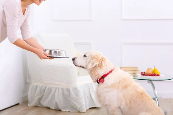 Mulher carinhosa alimentando o cão — Fotografia de Stock