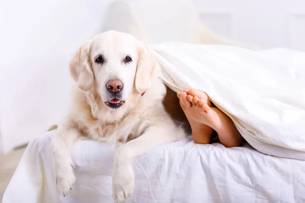 Mulher carinhosa deitada na cama com seu cão — Fotografia de Stock