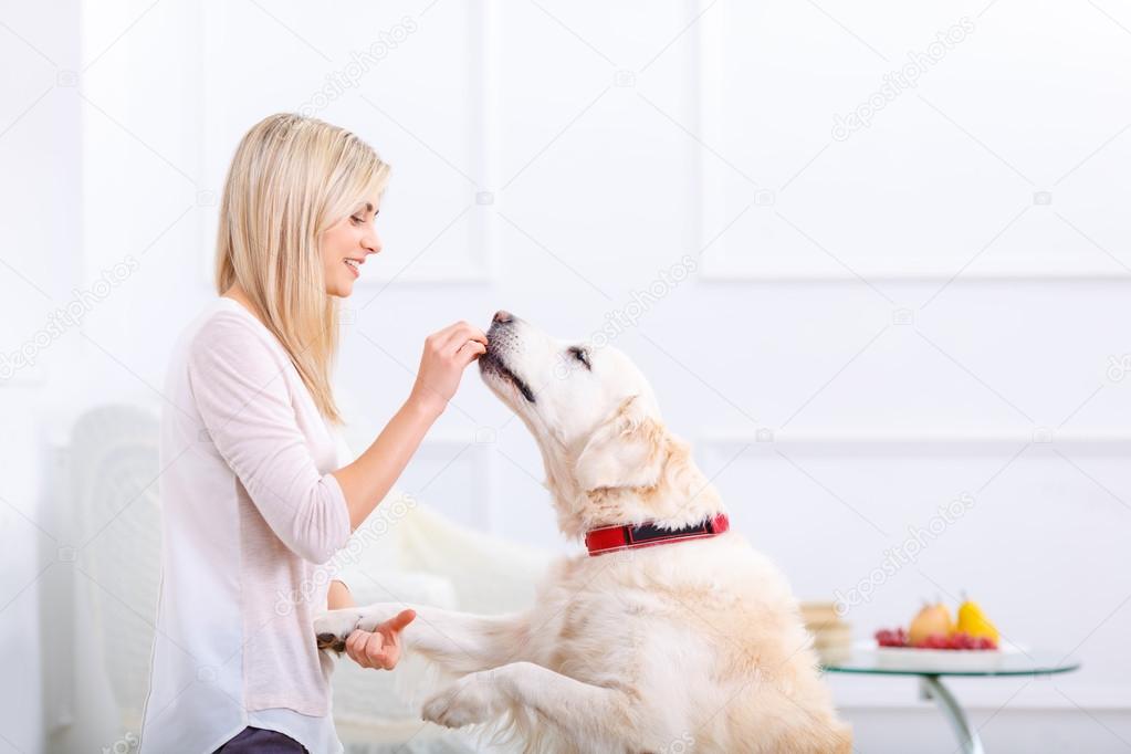 Pleasant woman having fun with a dog 