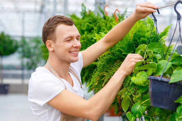 Lachende Bloemist is het verzorgen van bloemen. — Stockfoto