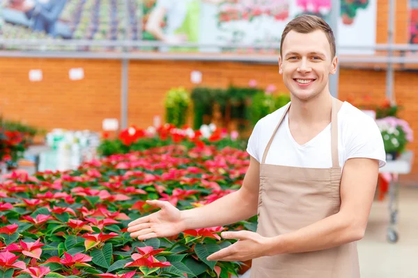 Florista sorridente demonstrando variedade de flores . — Fotografia de Stock