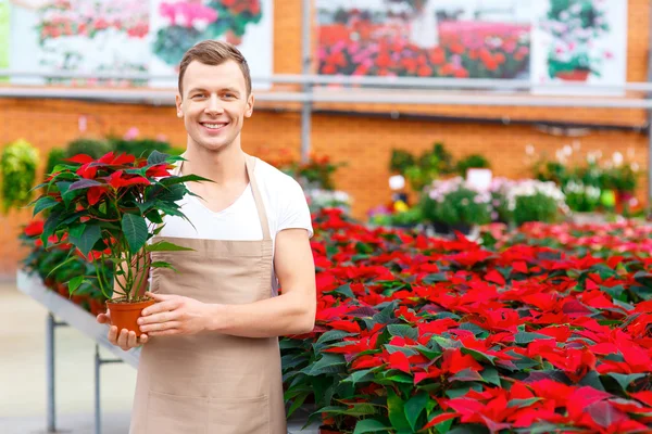 Fiorista sorridente che tiene una pianta . — Foto Stock