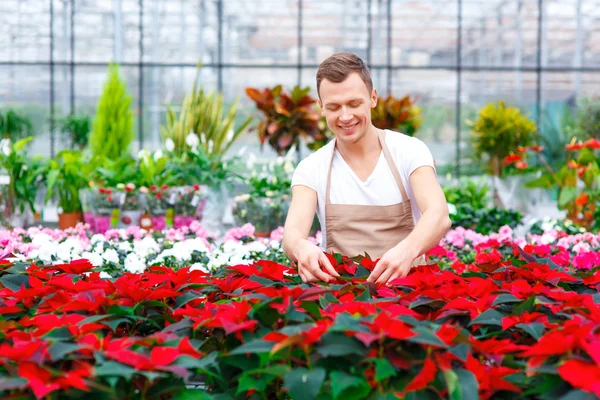 Sorrindo florista está cuidando de flores . — Fotografia de Stock