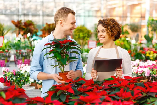 Lächelnder Florist arbeitet mit Kunden. — Stockfoto