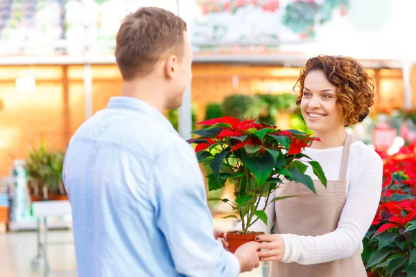 Floristin schenkt ihrer Kundin blühende Blume. — Stockfoto