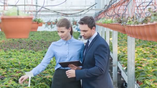 Empresarios revisan las plantas en crecimiento . — Vídeo de stock