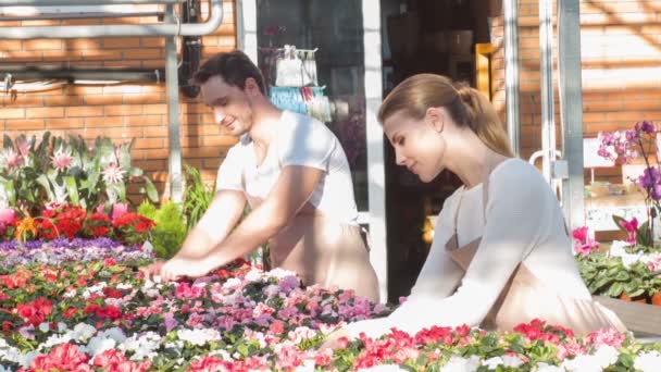 Zwei Floristen kümmern sich um blühende Blumen. — Stockvideo