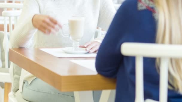 Young woman with her friend at the restaurant. — Stock Video