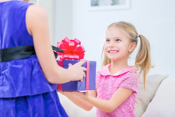 Agradable hermana celebrando en casa — Foto de Stock