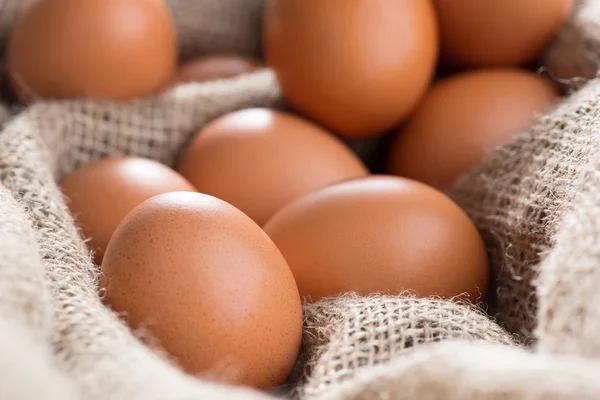 Huevos de pollo tirados en saco — Foto de Stock