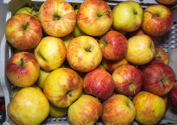Медовый Хрустящие Яблоки Красивый Красный Зеленый Цвет Фрукты Овощи — стоковое фото