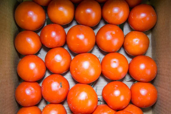 Свежие Помидоры Коробке Сложенной Рядами Ярко Оранжевого Цвета Фрукты Овощи — стоковое фото