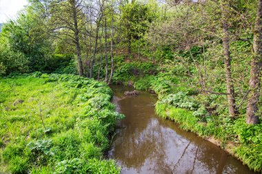 Dönemeçte nehir yatağı, kıyılar boyunca uzanan parlak yeşil çimenler ve ağaçlarla, mavi gökyüzünün sudaki bulutlarla yansıması. Doğa gölleri ekolojiyi göller..