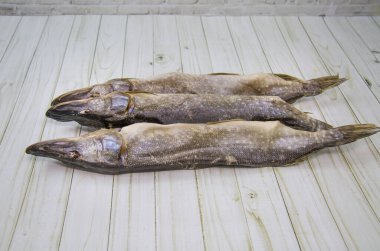 Pike (Latince: Esox lucius), kafası ahşap bir masanın üzerinde katlanarak kurutulmuş. Yiyecek bira için lezzetli bir atıştırmalıktır..