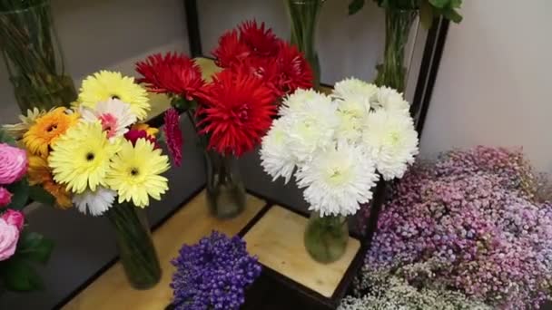 在白色背景的架子上 摆放着一束束花束的全景 这些花束来自Zinnias 康乃馨和红色的粉红黄色向日葵 植物家庭室内植物花 — 图库视频影像