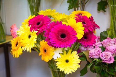 Beyaz arka planda bir buket Gerbera çiçeği (Latin Gerbera) pembe ve sarı. Flora ev çiçekleri..